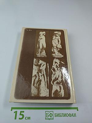 Дневник Микеланджело Неистового