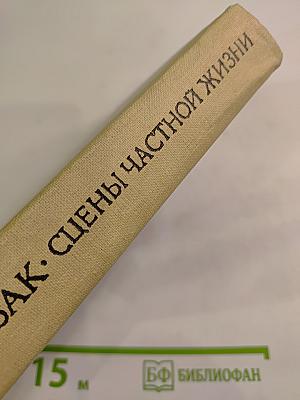 Сцены частной жизни