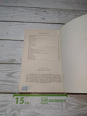 Арденнские страсти