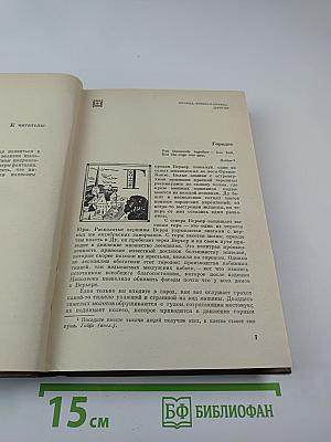 Красное и чёрное