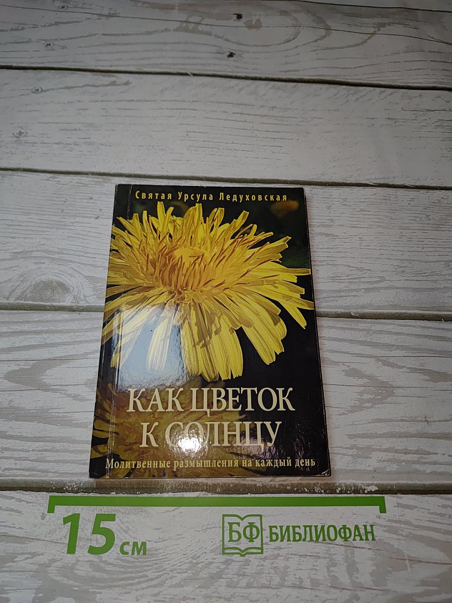 Как цветок к солнцу