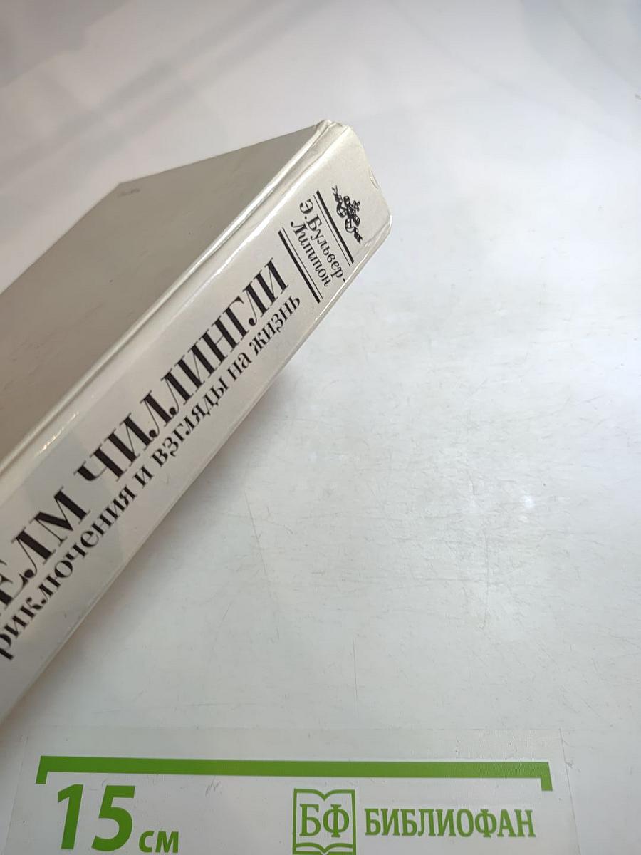 Кенелм Чиллингли: его приключения и взгляды на жизнь