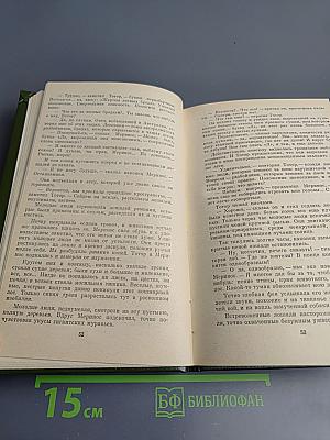 Черный штурман