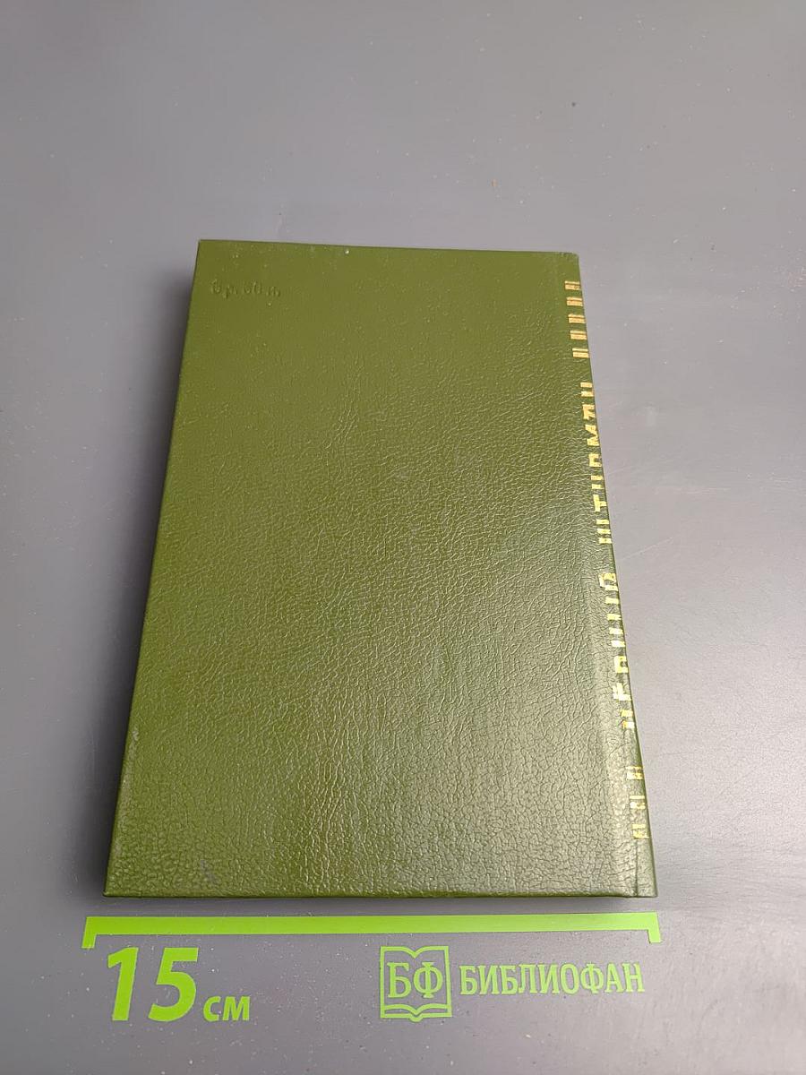 Черный штурман