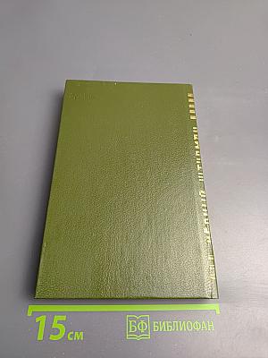 Черный штурман