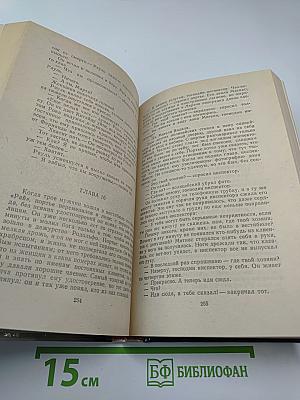 Арена. Политический детектив