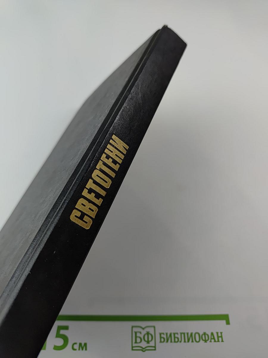 Светотени. Политический детектив