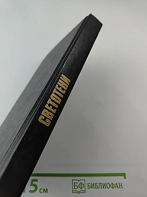 Светотени. Политический детектив