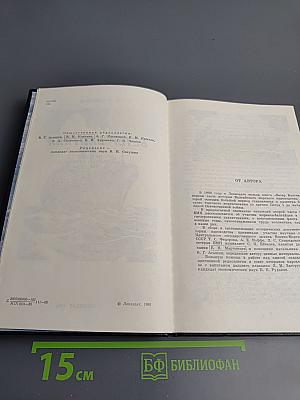 Ветер Балтики. История Балтийского морского пароходства. Часть 2