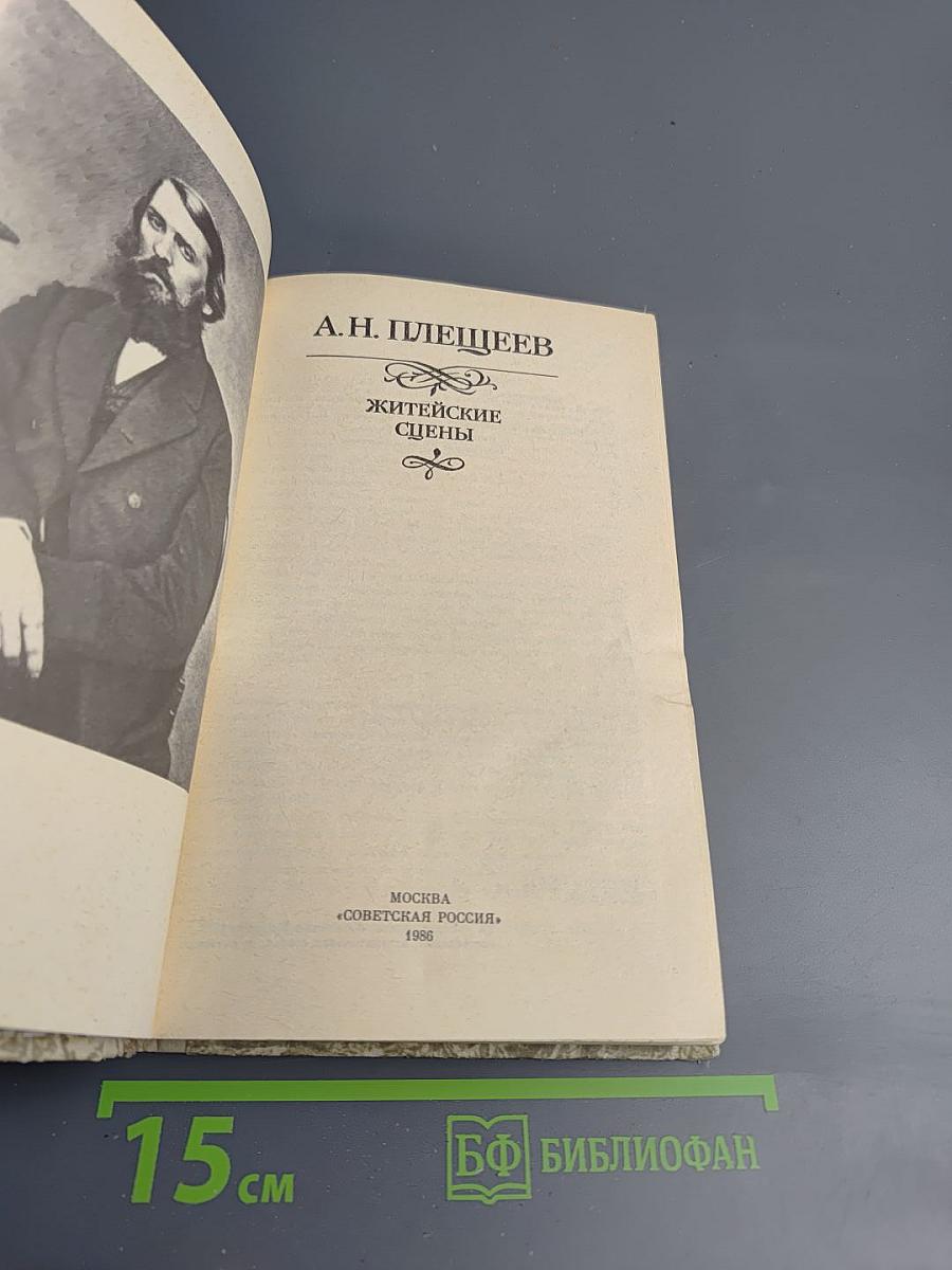 А.Н. Плещеев. Житейские сцены