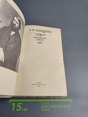 А.Н. Плещеев. Житейские сцены