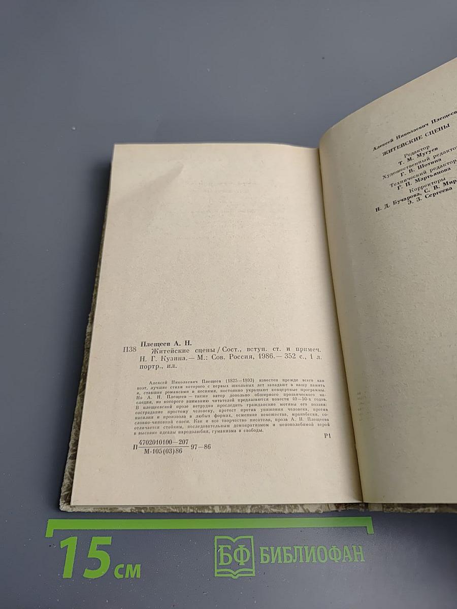 А.Н. Плещеев. Житейские сцены