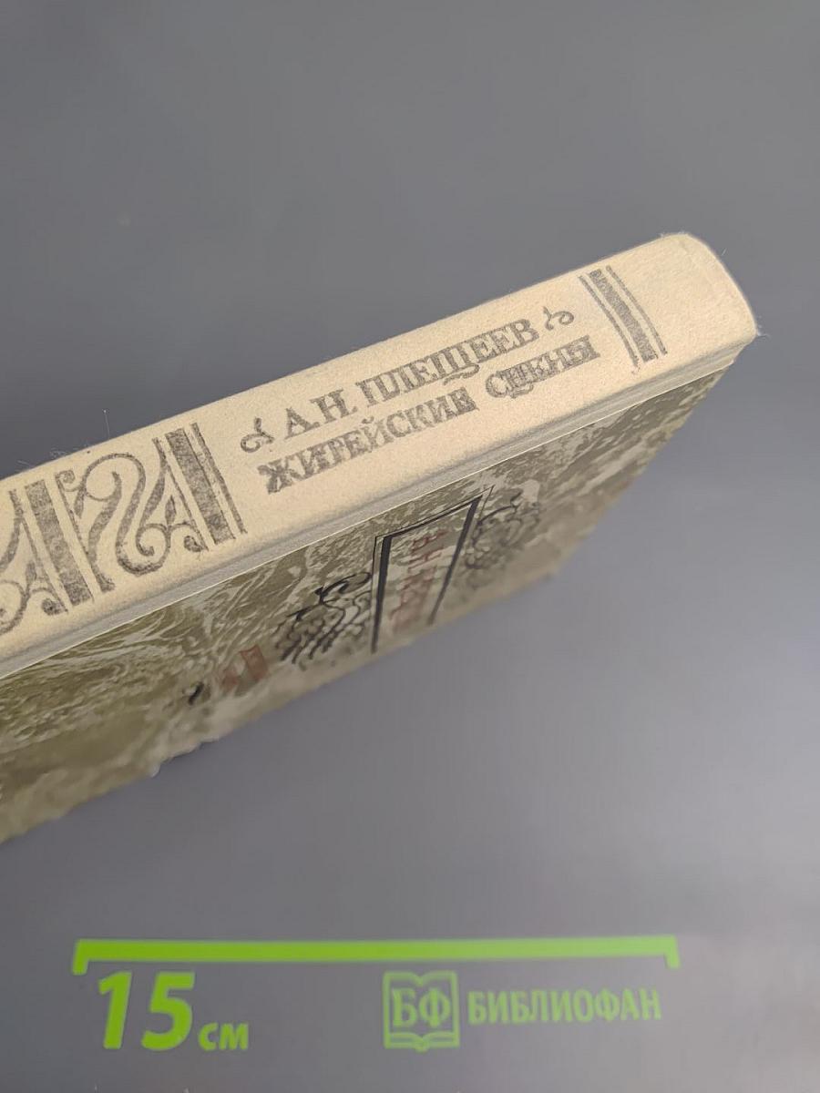 А.Н. Плещеев. Житейские сцены