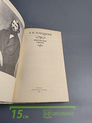 Житейские сцены