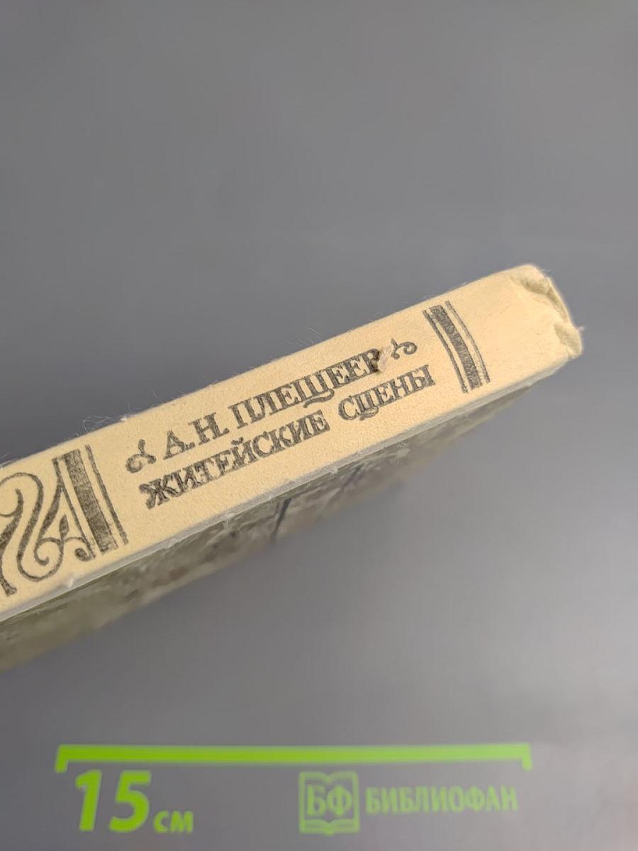 Житейские сцены