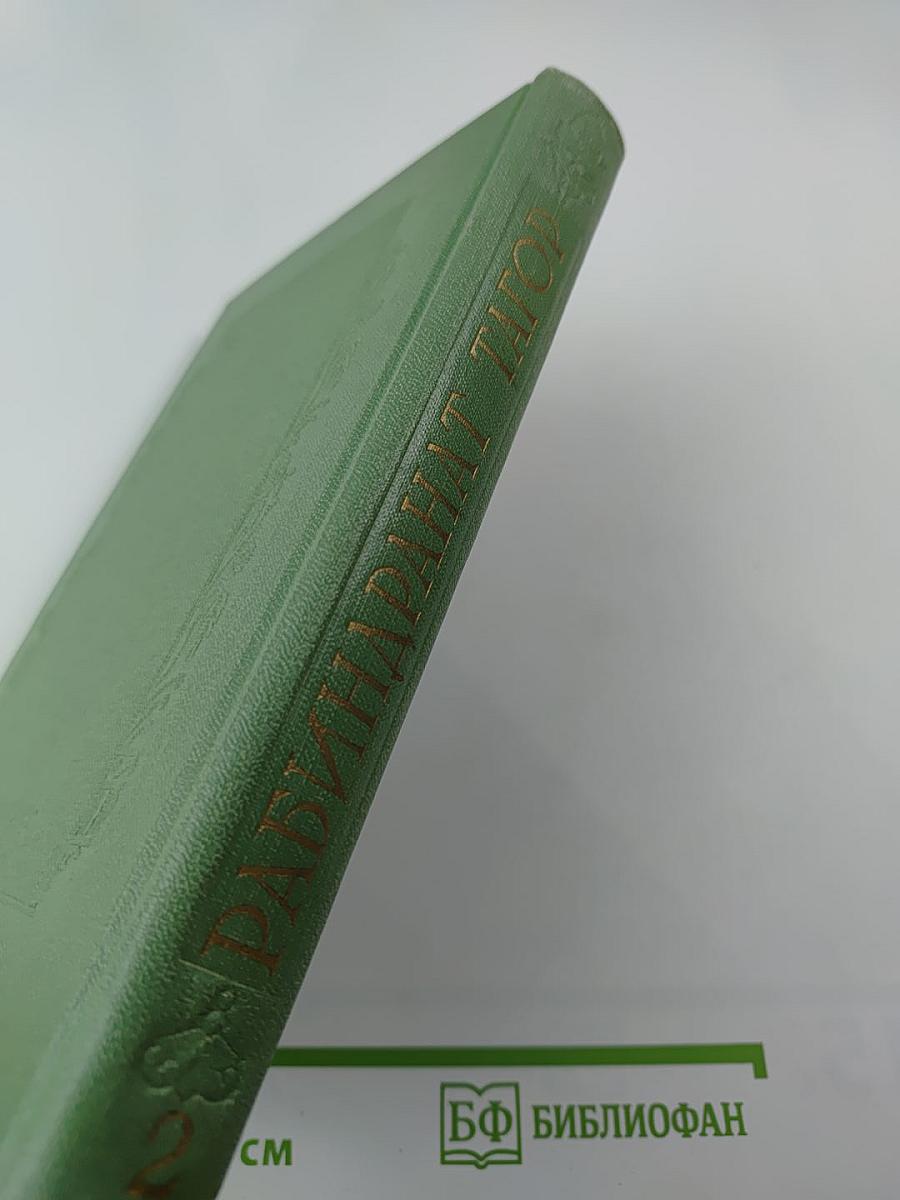 Сочинения. Том второй. Гора. Роман