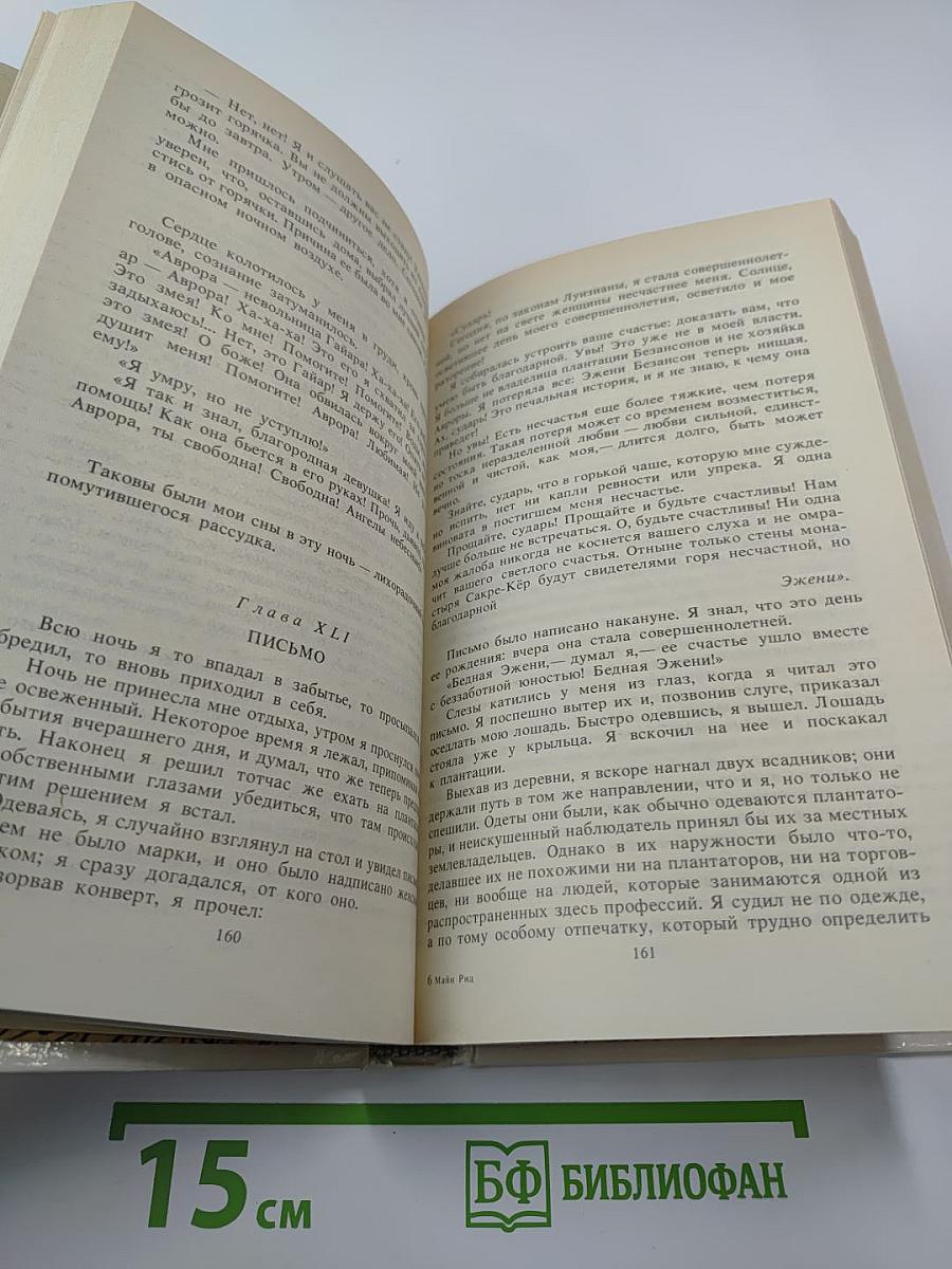 Квартиронка. Морской волчонок