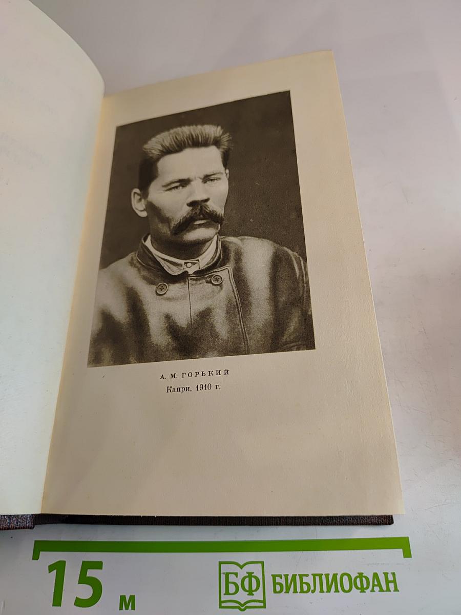 Собрание сочинений М. Горького. Том одиннадцатый: Повести, рассказы, очерки, стихи 1907-1917