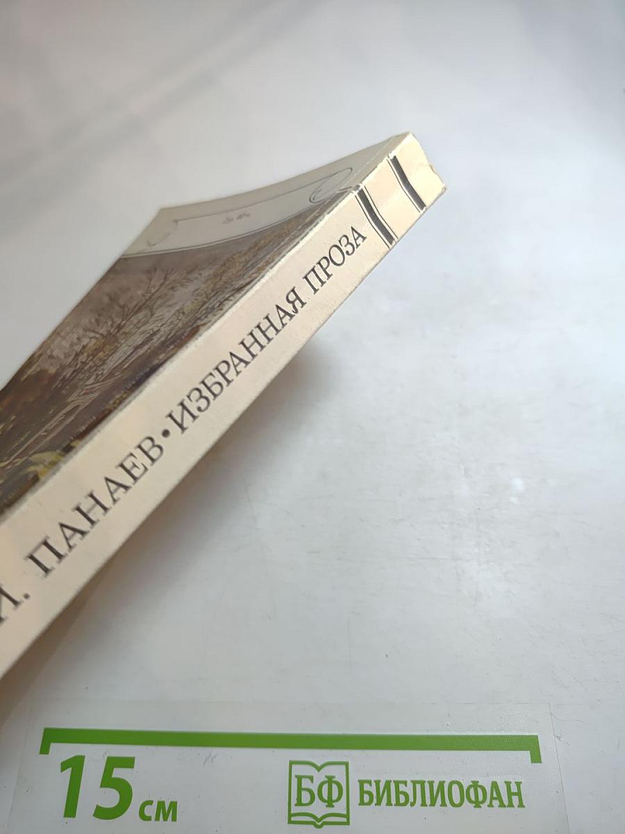 Избранная проза