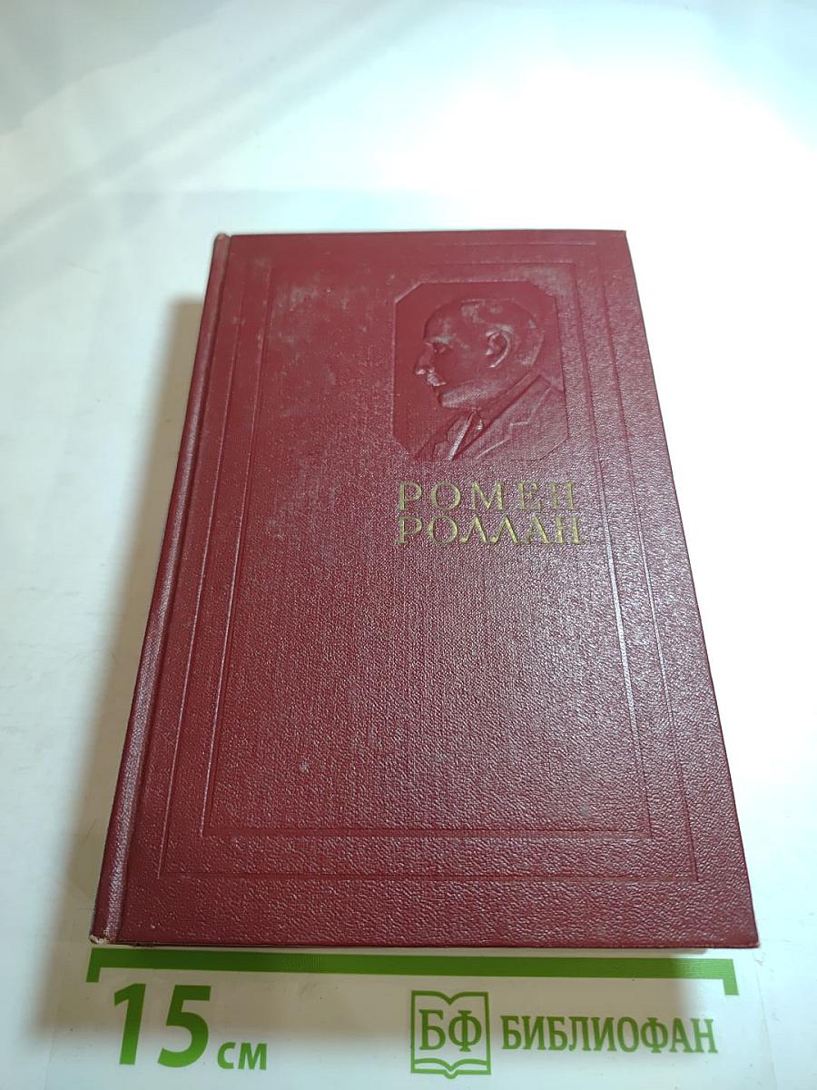 Собрание сочинений. Том тринадцатый. Публицистика (1917-1939)