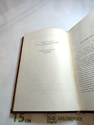 Собрание сочинений. Том тринадцатый. Публицистика (1917-1939)
