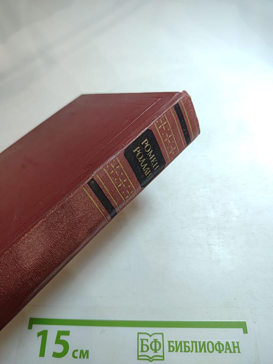 Собрание сочинений. Том тринадцатый. Публицистика (1917-1939)