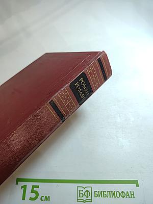 Собрание сочинений. Том тринадцатый. Публицистика (1917-1939)