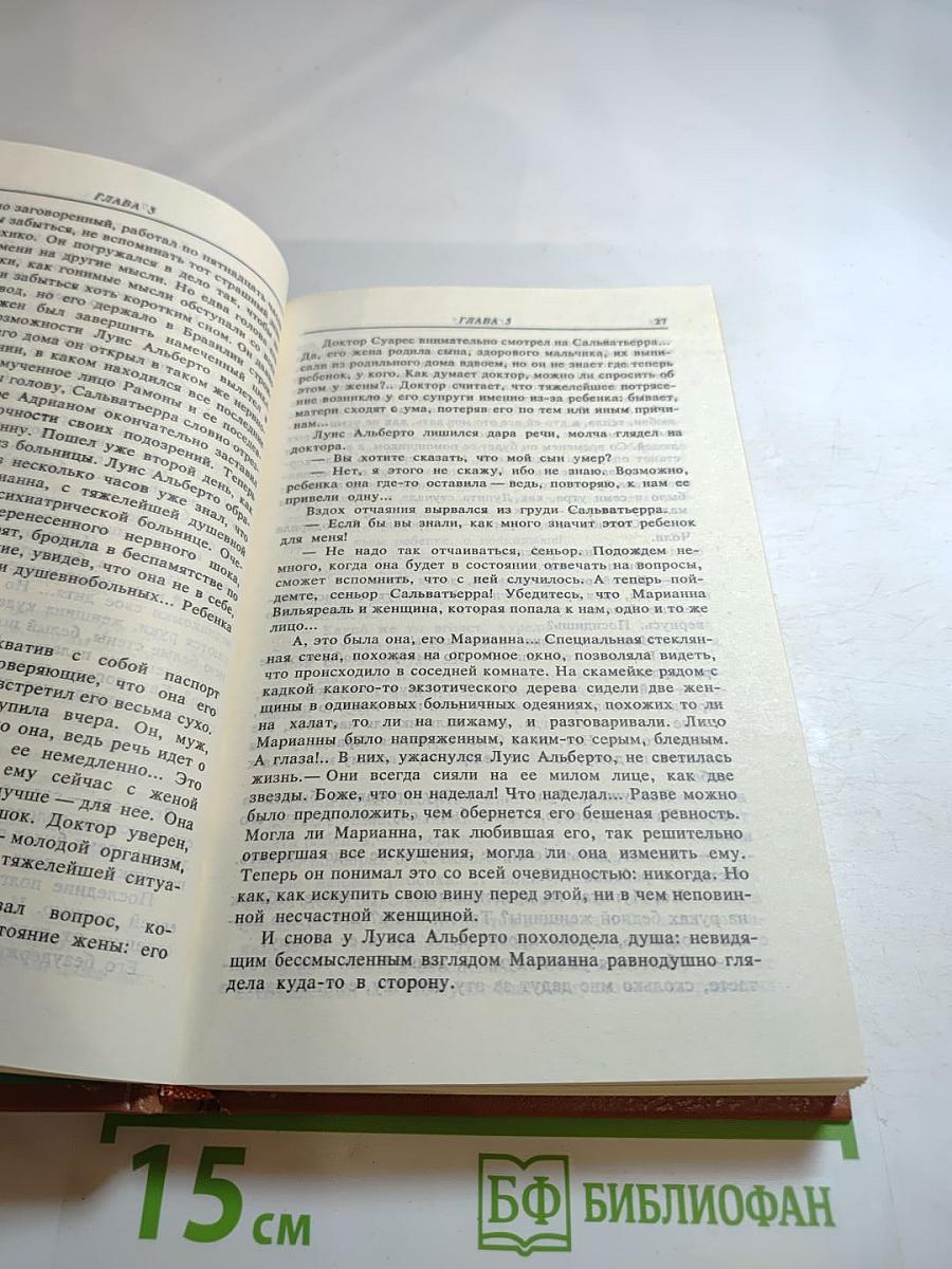 Богатые тоже плачут. Книга 2