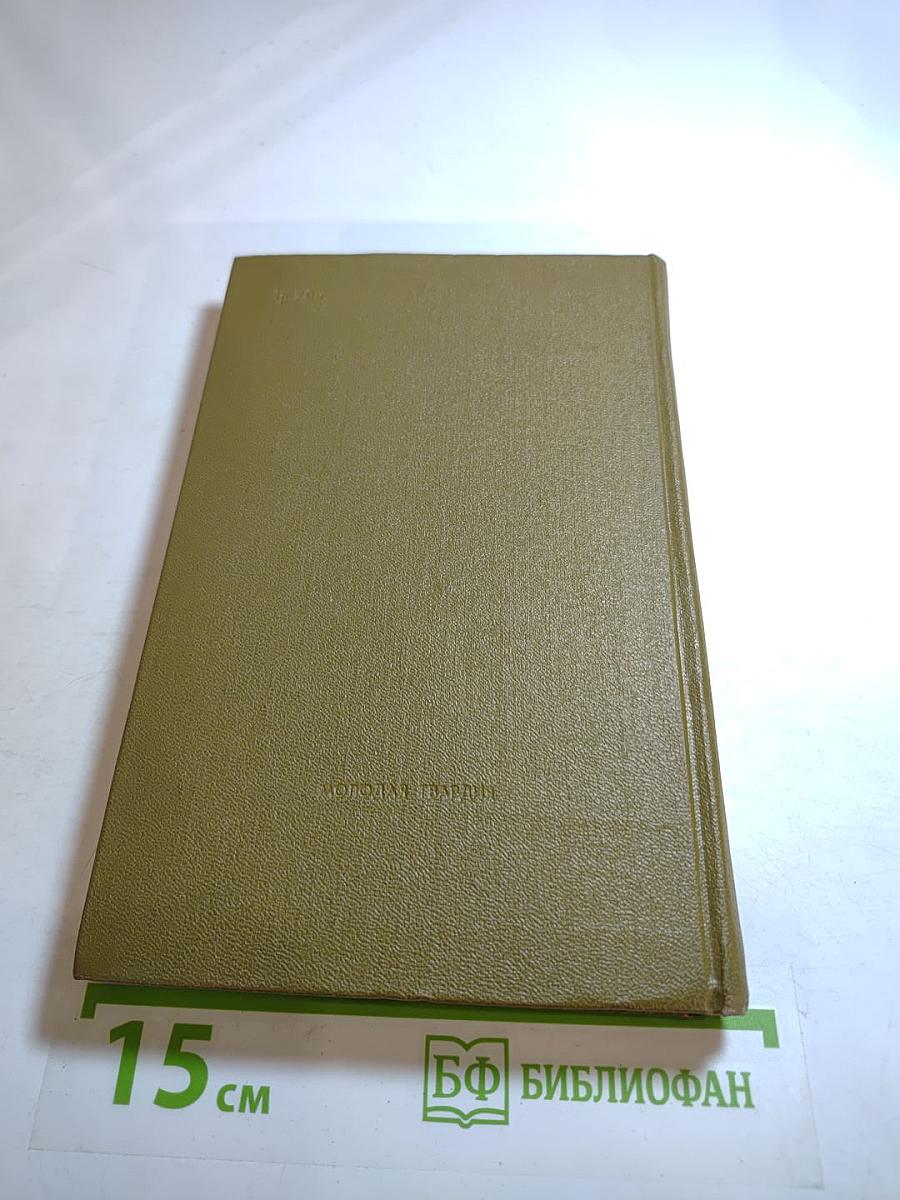 Собрание сочинений в 4-х томах. Том 4: Чайка