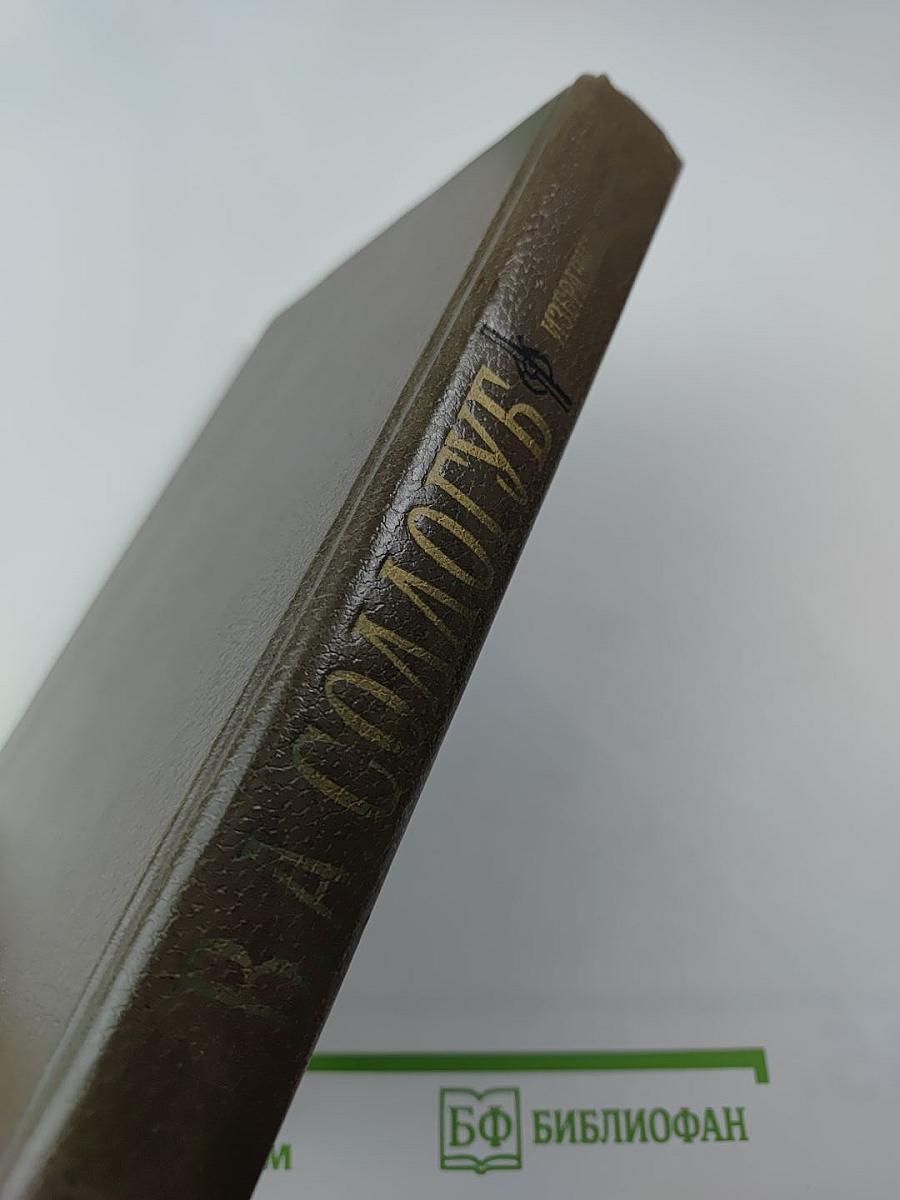 Избранная проза