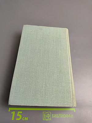 Разин Степан