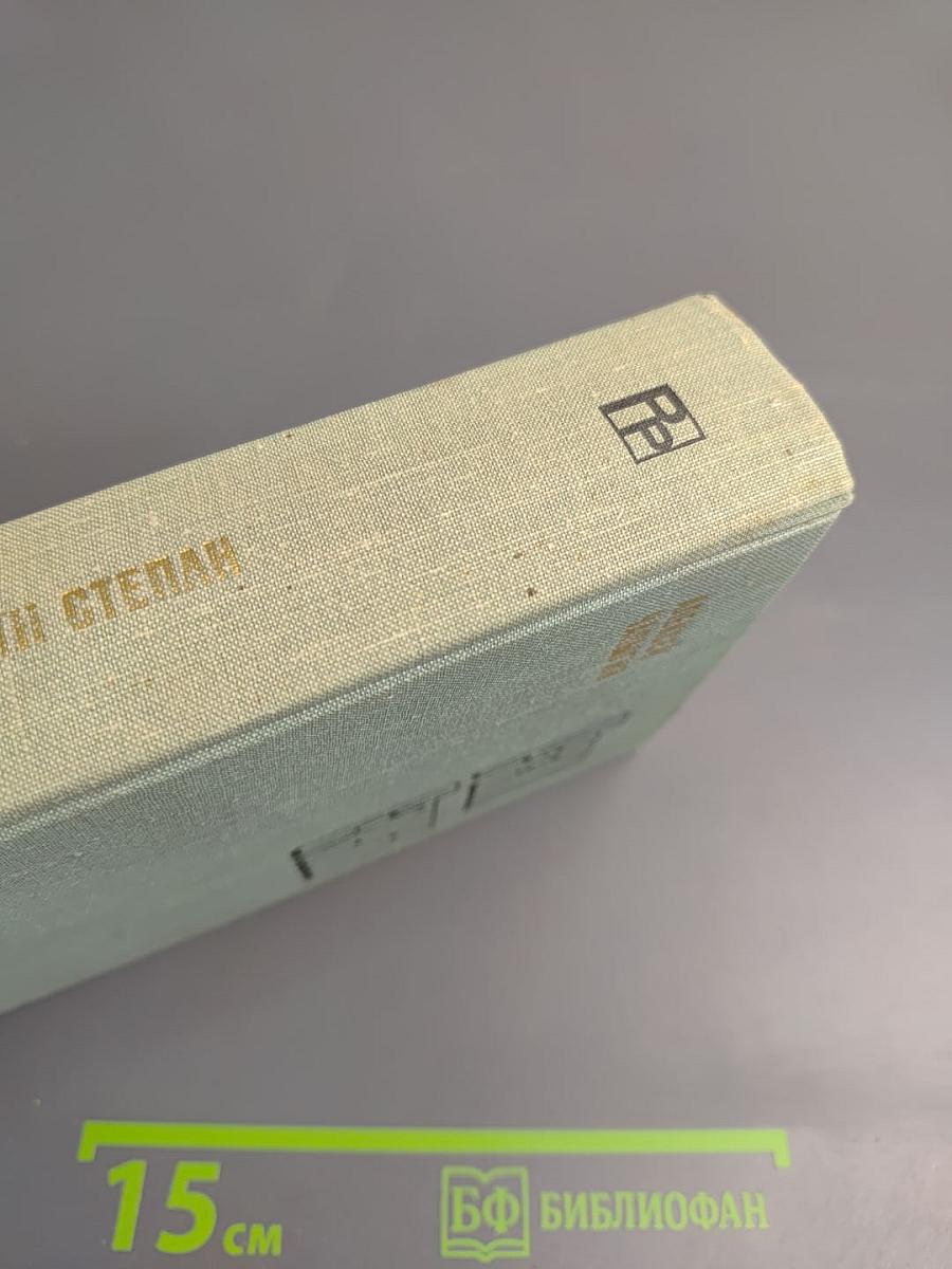 Разин Степан