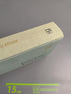 Разин Степан