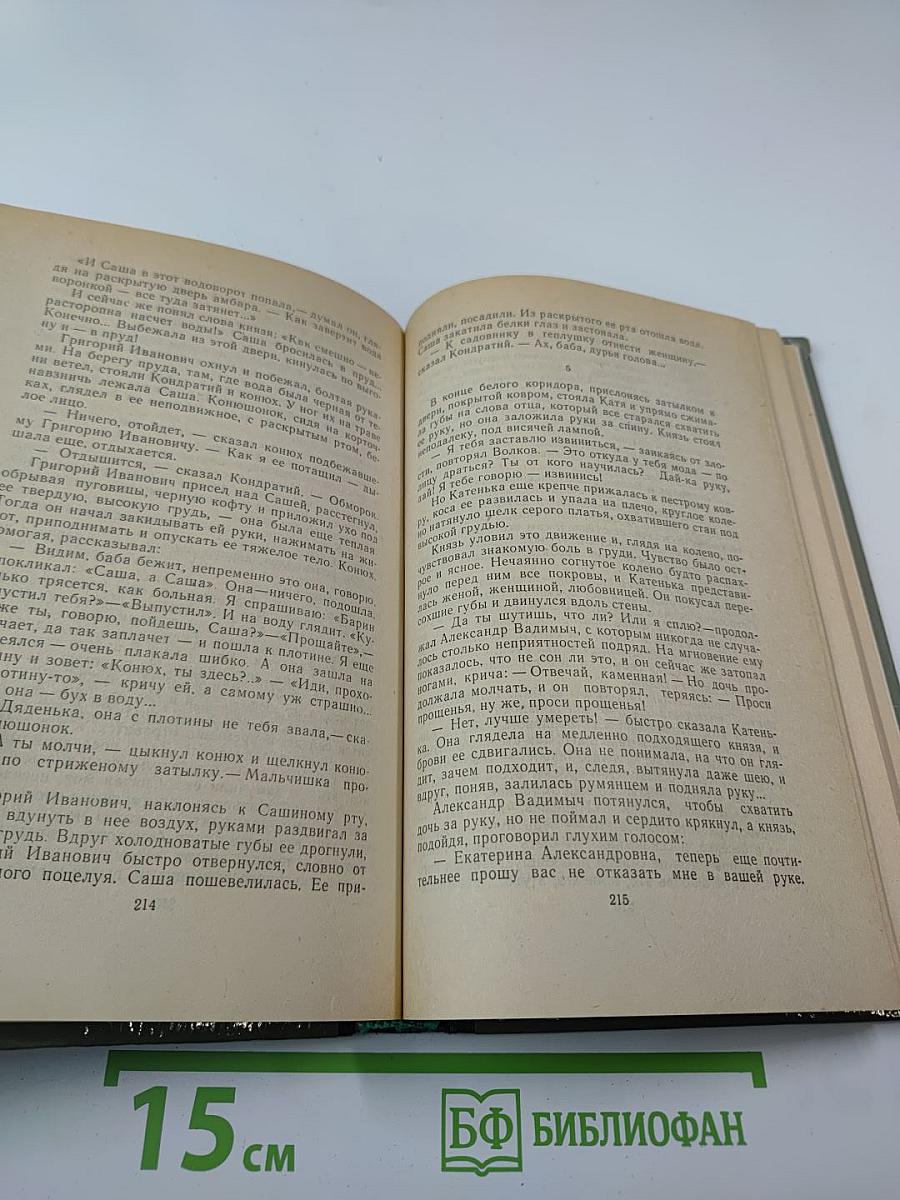 Чудаки. Хромой барин. Егор Абозов
