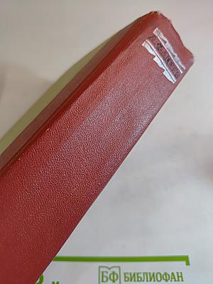 Молодая гвардия