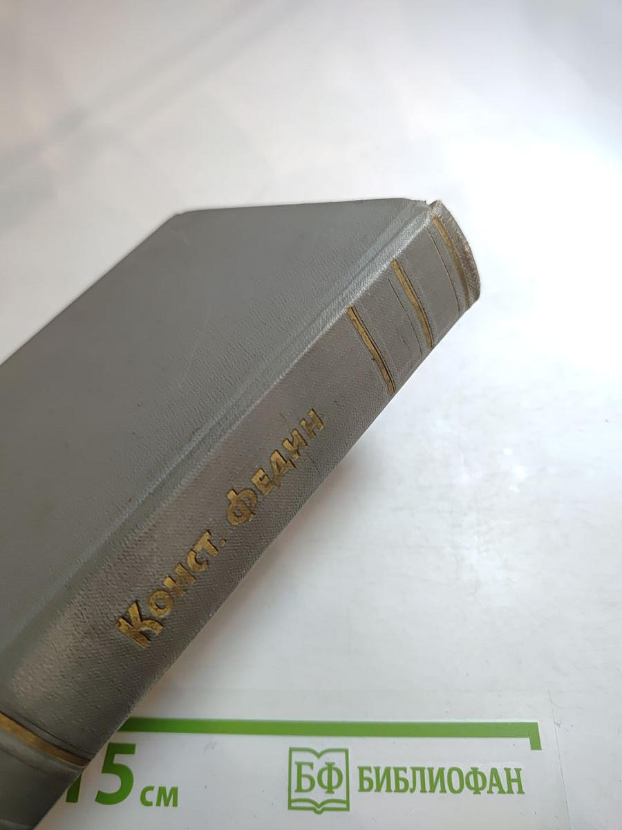 Собрание сочинений. Том третий: Братья. Паровчатская хроника. Трансвааль
