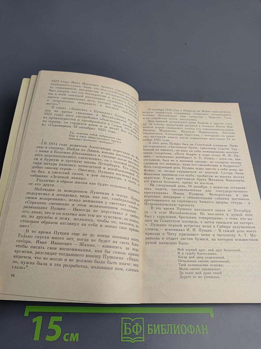 Люблю тебя, Петра творенье... Пушкинские места Ленинграда