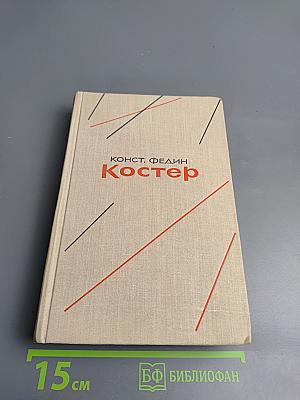 Костер. Книга первая. Вторжение
