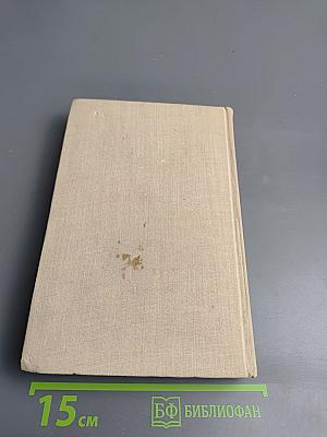 Костер. Книга первая. Вторжение