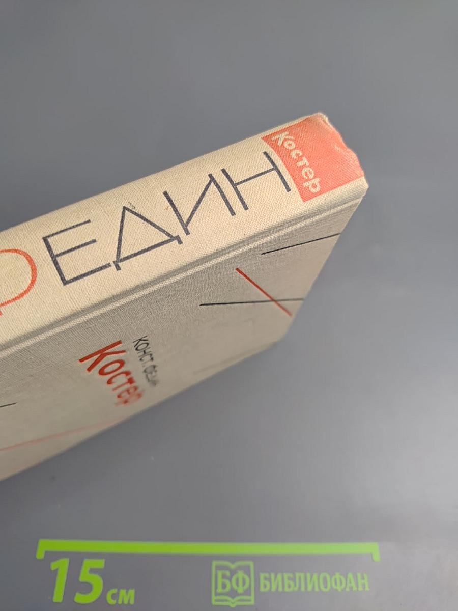 Костер. Книга первая. Вторжение