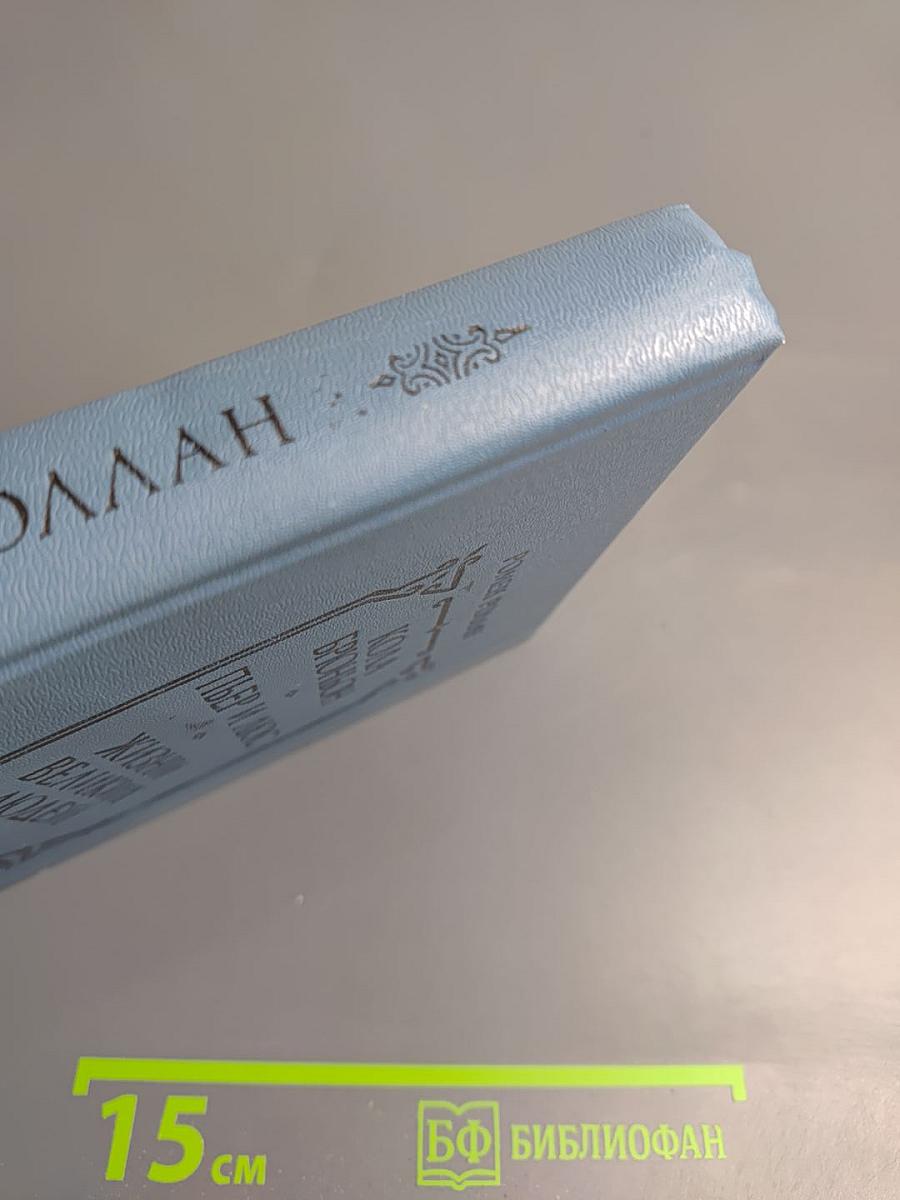 Кола Брюньон. Пьер и Люс. Жизни великих людей