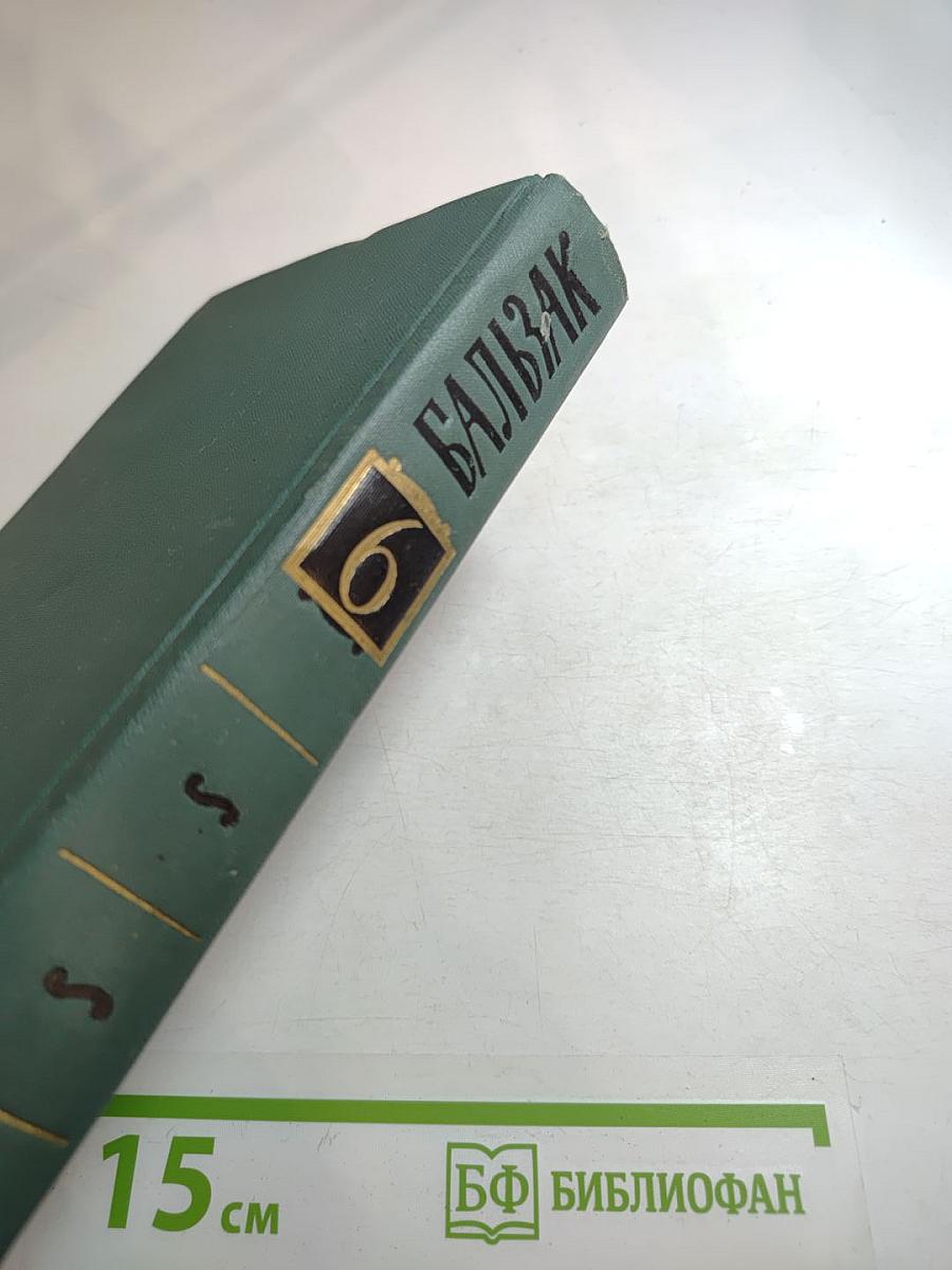 Человеческая комедия. Том 6