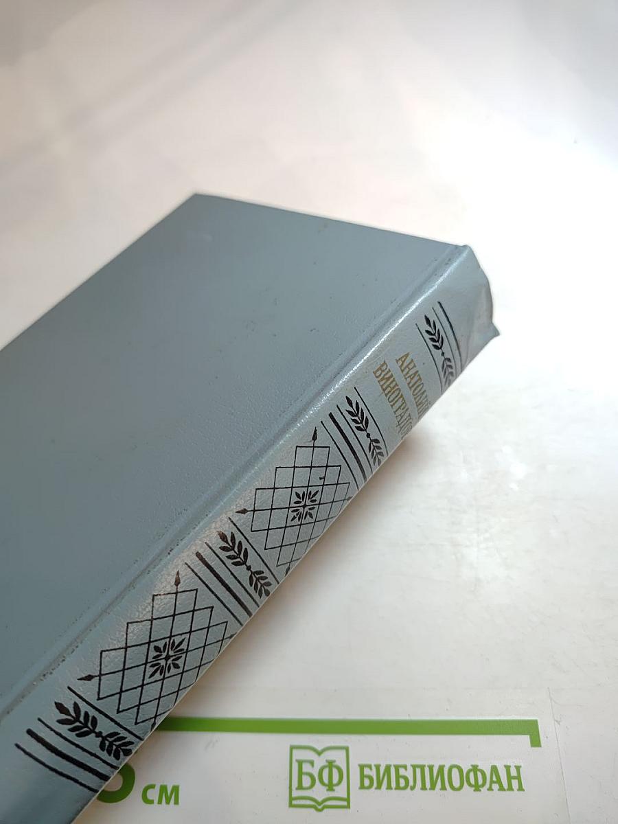 Повесть о братьях Тургеневых. Осуждение Паганини