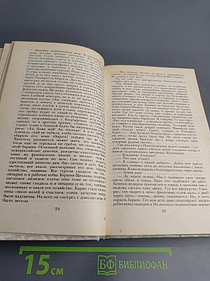 Беглые в Новороссии. Воля. Княжна Тараканова