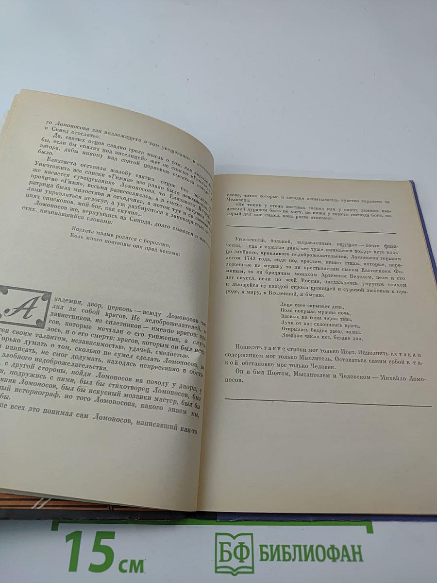 Сделал всё, что мог...