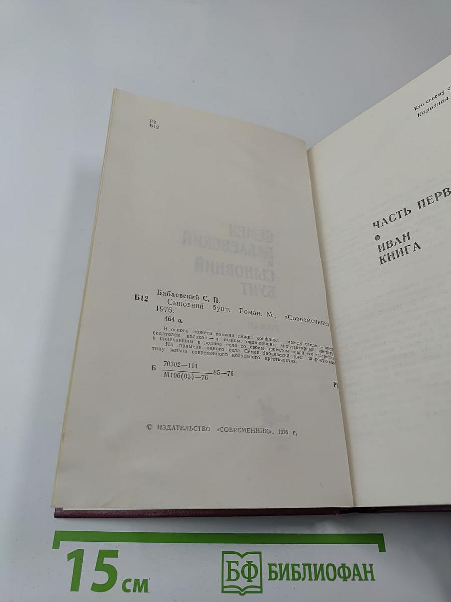 Сыновний бунт