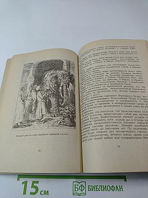 Приключения в стране тигров