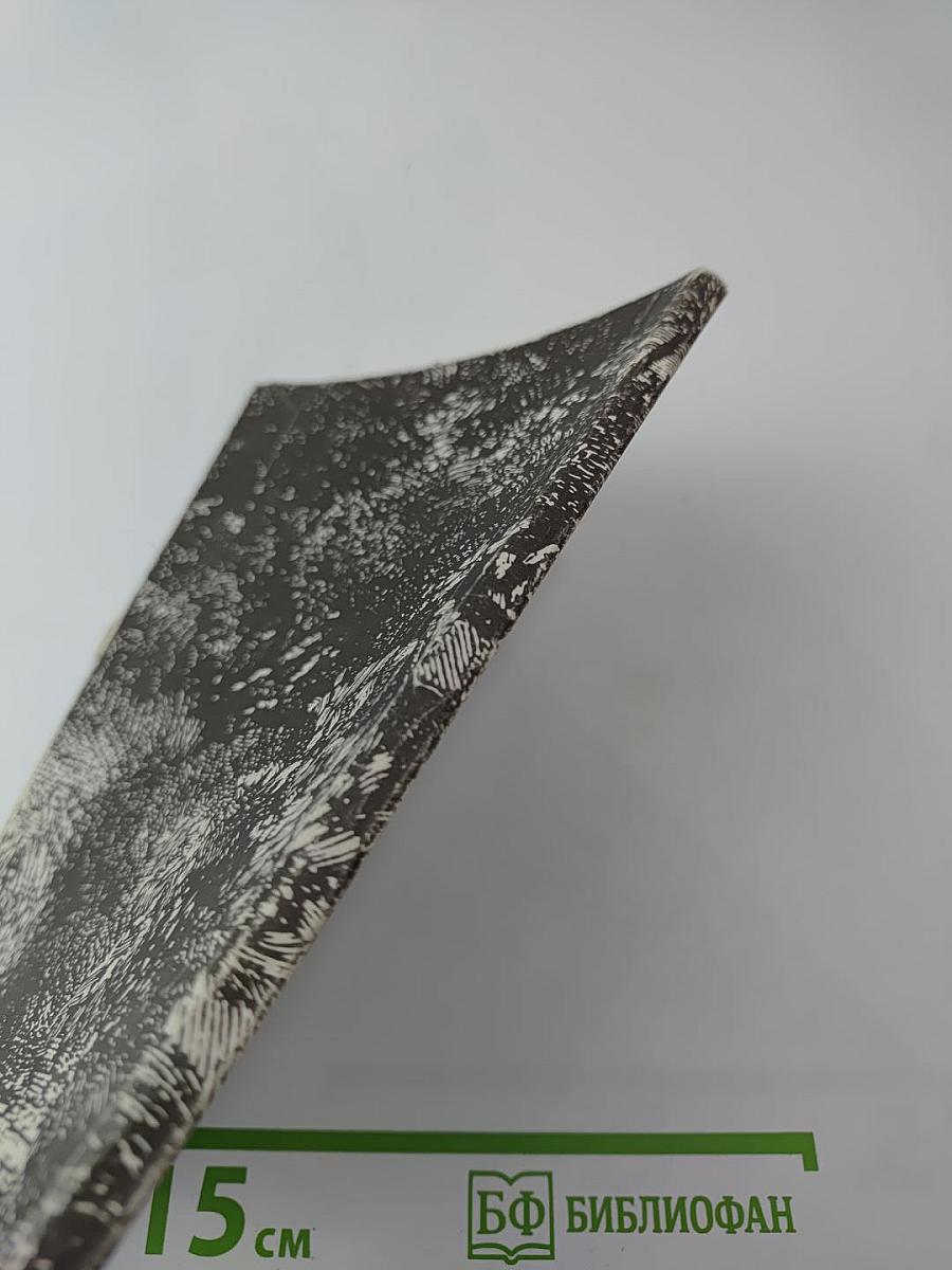 Приключения в стране тигров