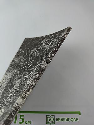 Приключения в стране тигров