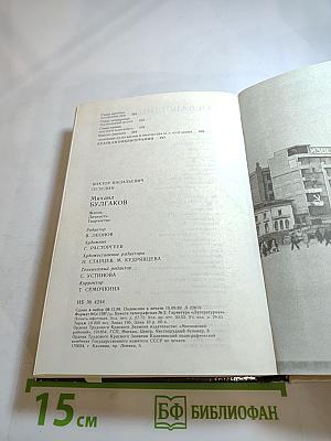 Михаил Булгаков. Жизнь. Личность. Творчество